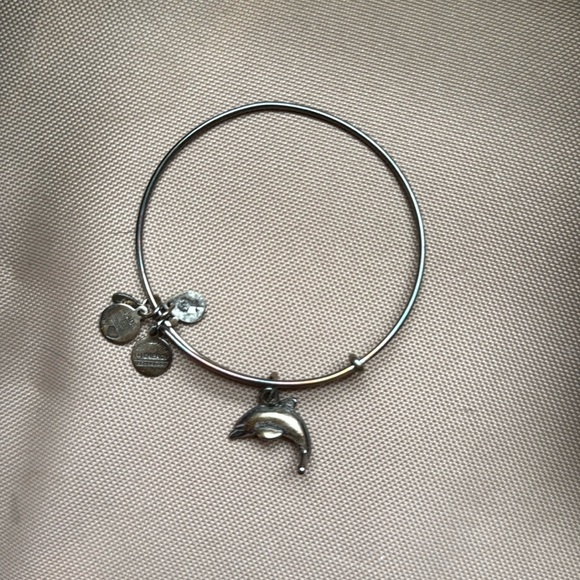 Alex and Ani silver dolphin bracelet ❗️bundle 3 for $22❗️ - Picture 1 of 5